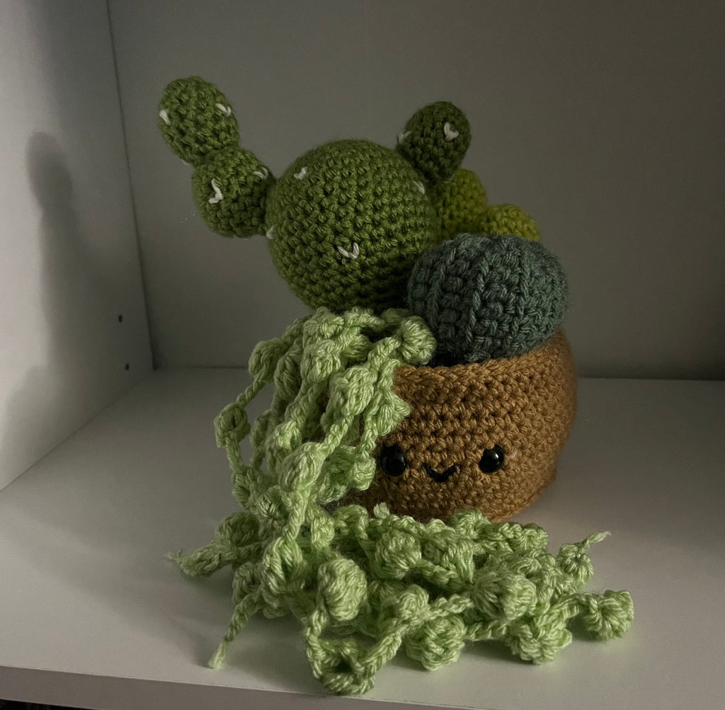 succulents in a pot