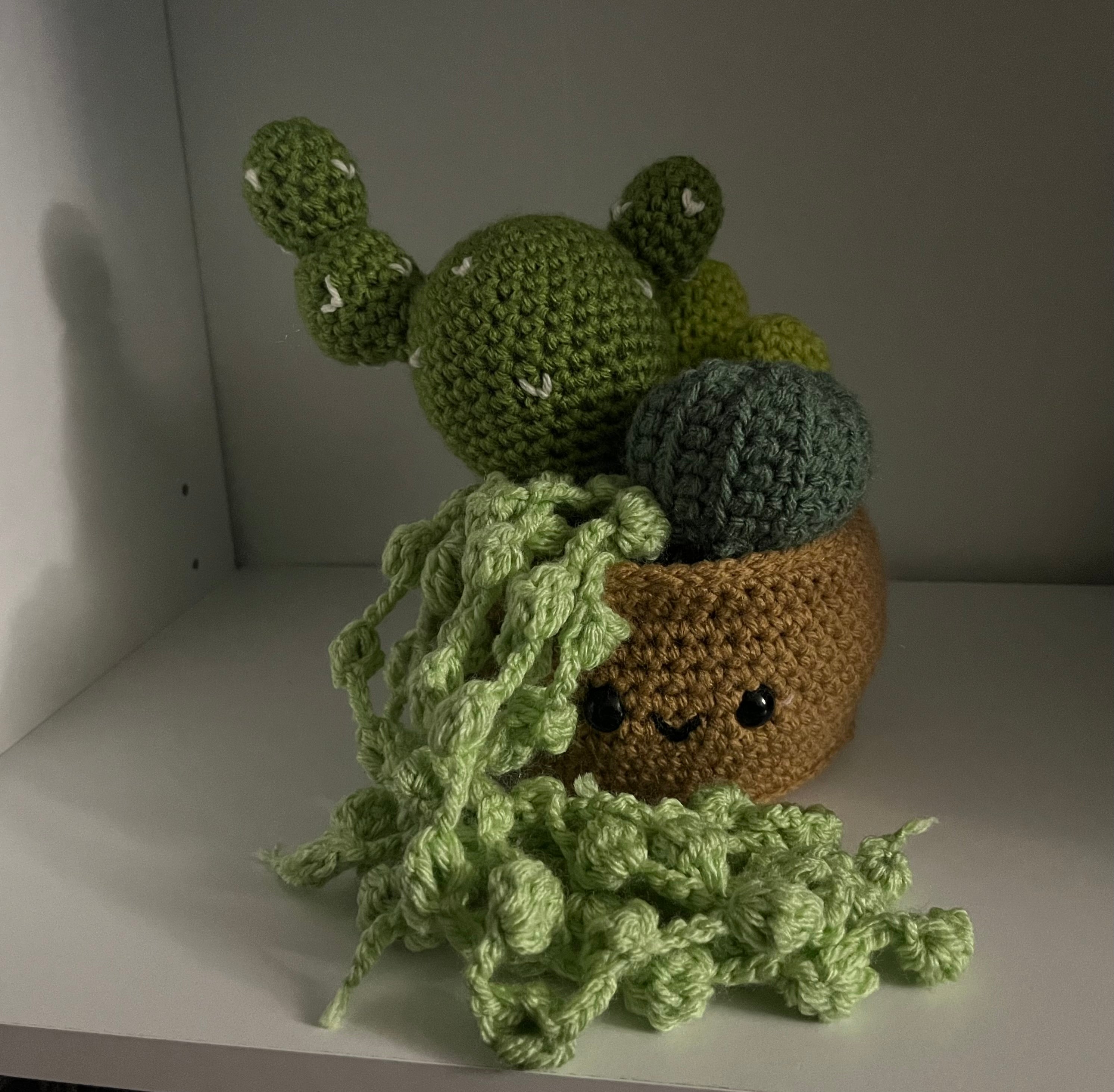succulents in a pot