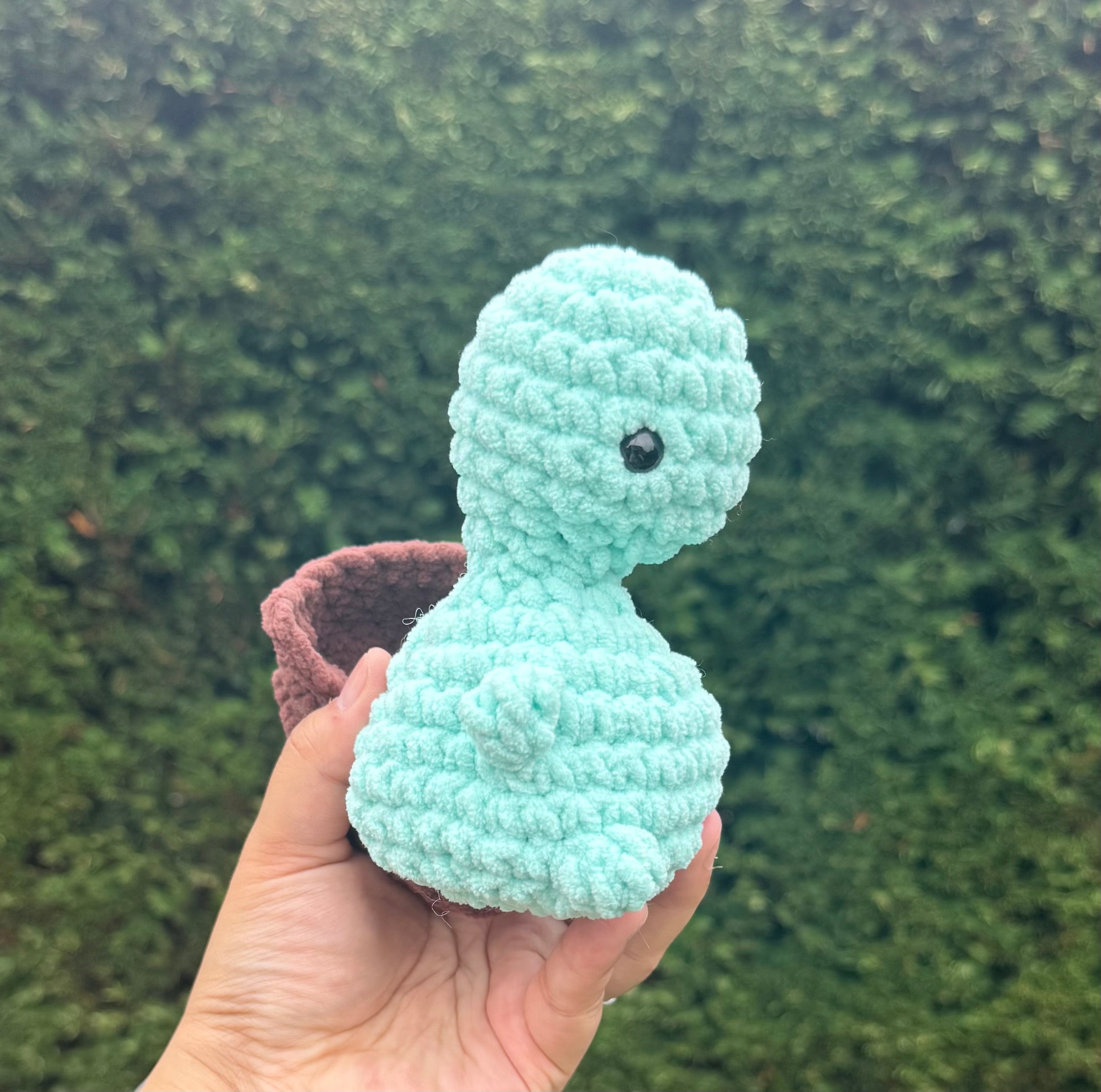 small mint chip turtle w/ a booty