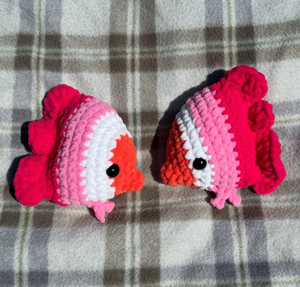 Cutesy butterfly fish