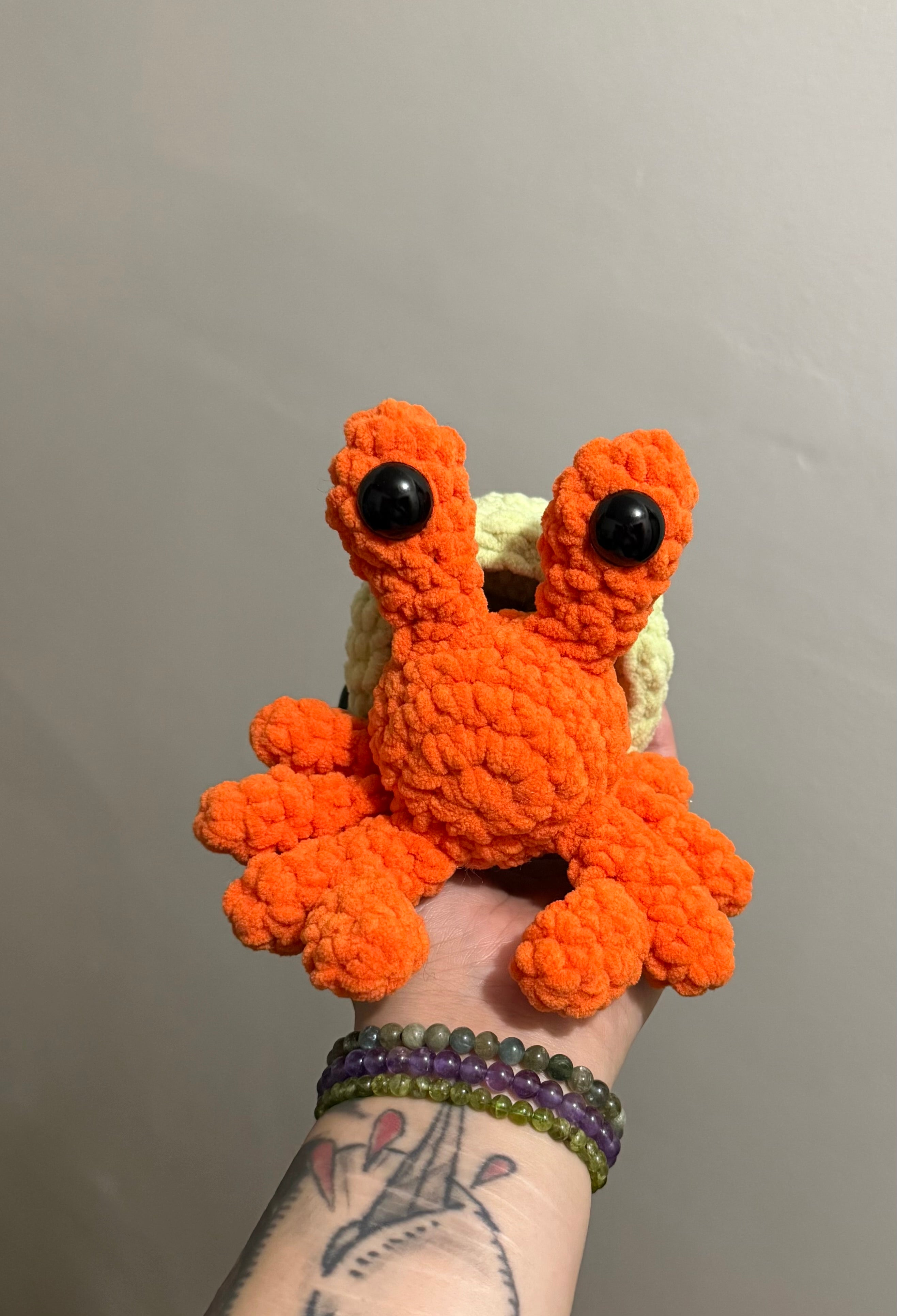 hermit crab