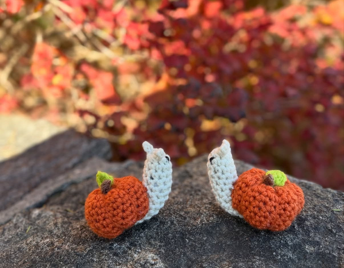 pumpkin snail