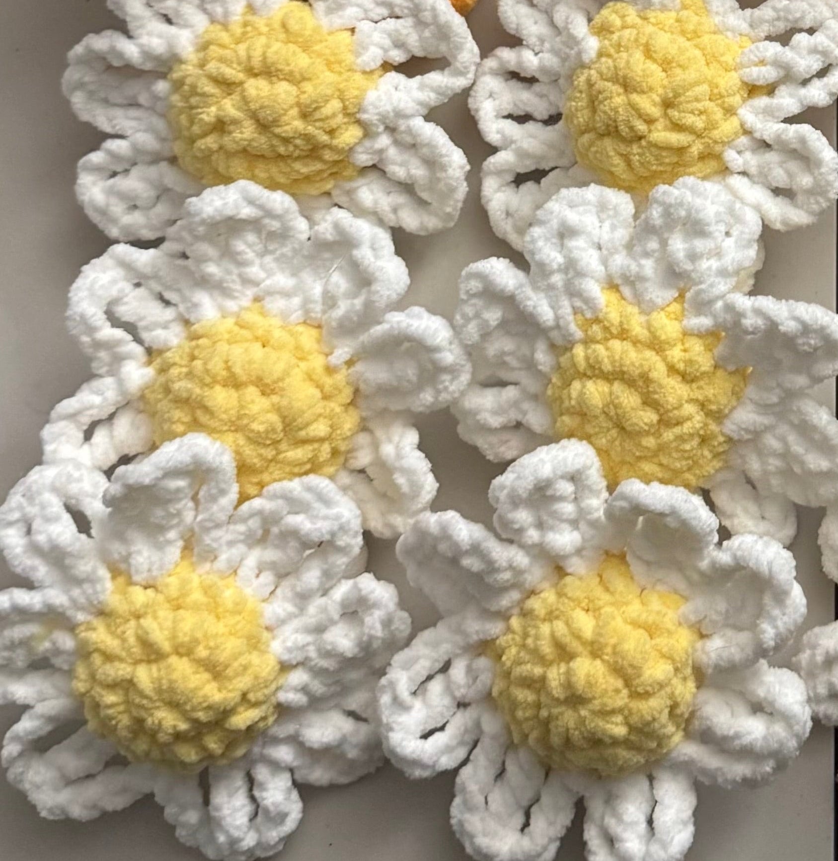 Bulk buy: 10 Daisies
