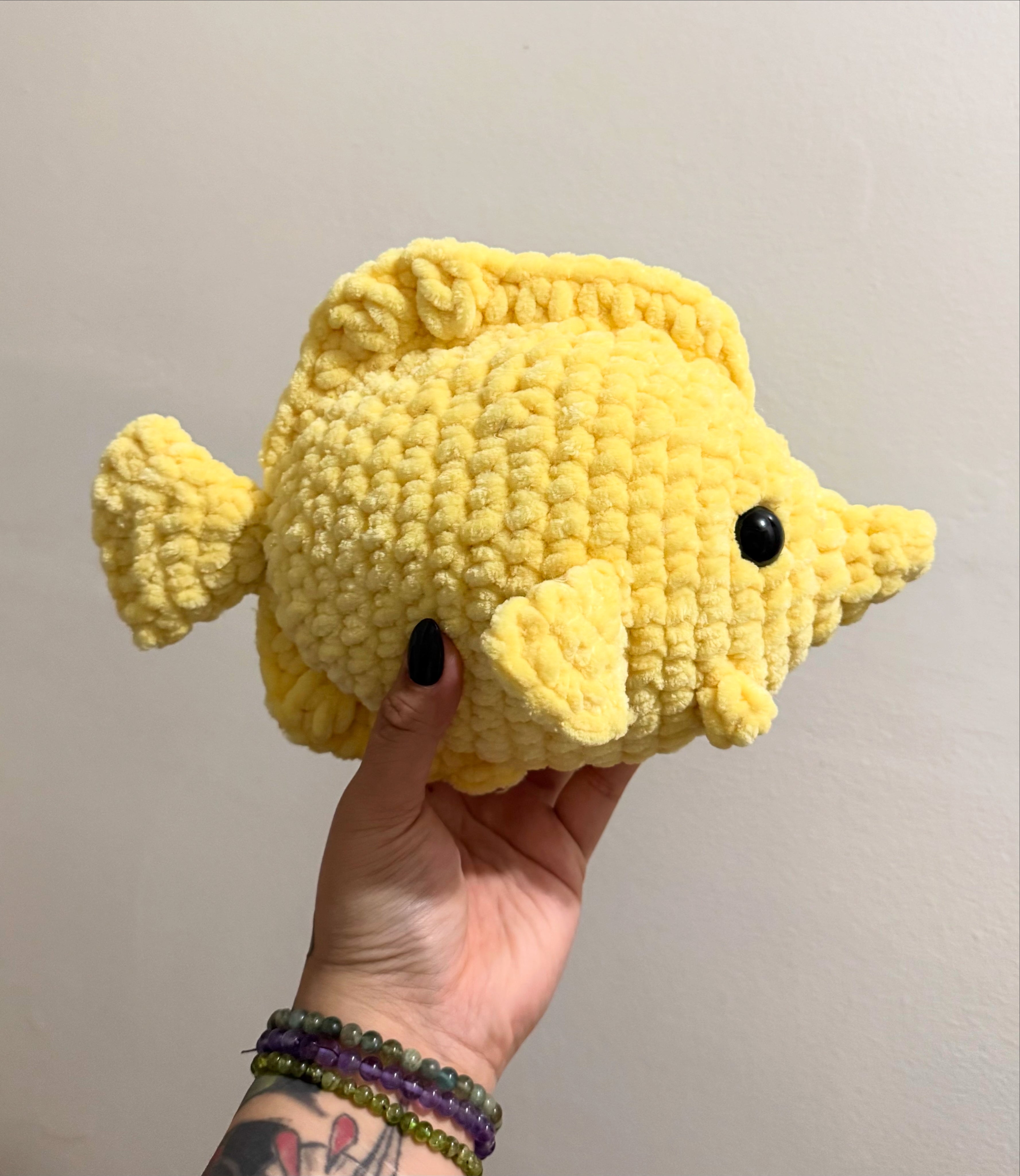 yellow tang