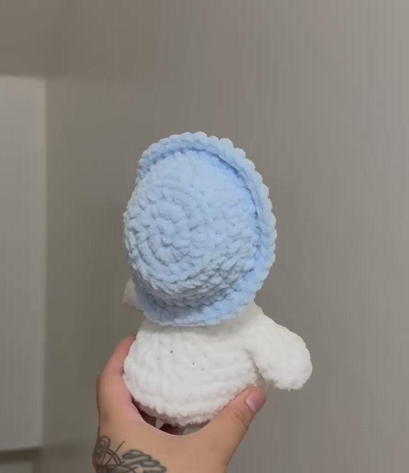 Small goose wearing a hat