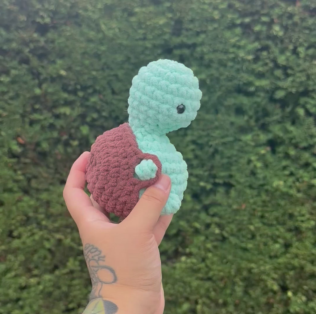 small mint chip turtle w/ a booty